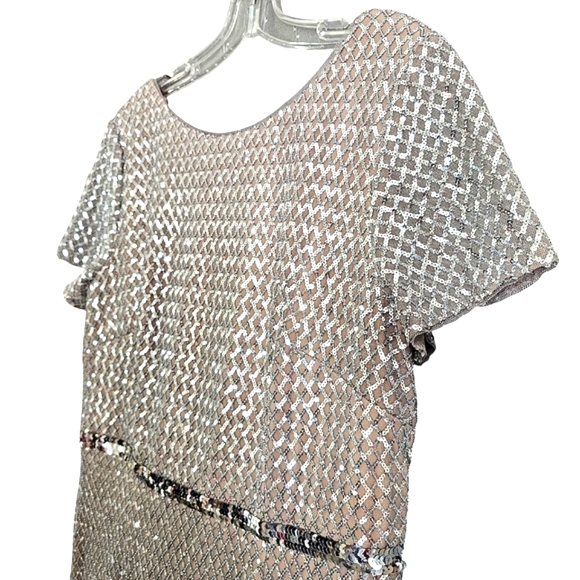 Nwot Adrianna Pappel Shortsleeve Silver Sequin Luxe Mesh/Tan Column Form… - Picture 7 of 17